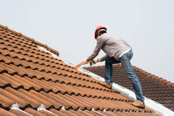 Best Sheet Metal Roofing  in Pine Bluff, AR